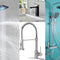 Kitchen Fixture