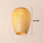 26 CM