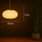 50 CM